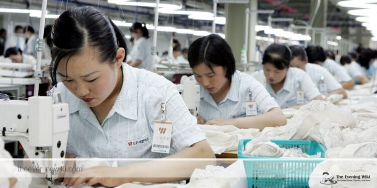 Syarat Kerja di Korea Untuk Wanita